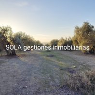 PARCELA EL CAMPILLO