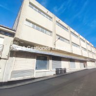 local AYALA